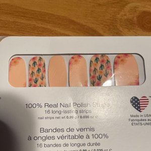 Color Street Desert Flora